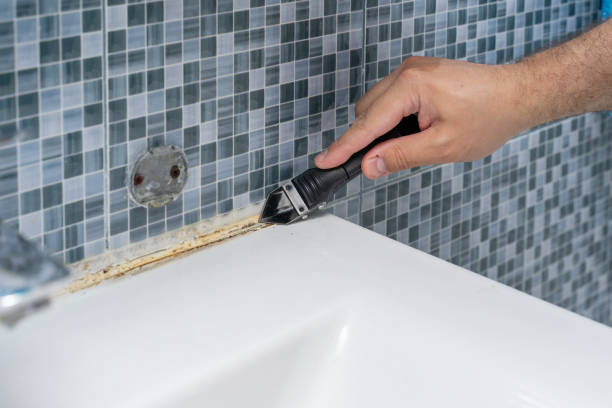 Best Toxic Mold Removal  in Twin Grove, IL