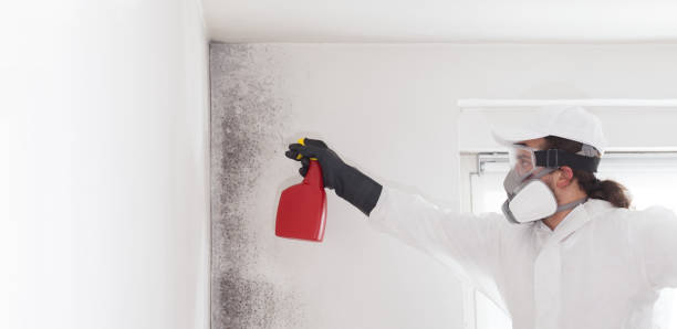 Best Mold Testing  in Twin Grove, IL